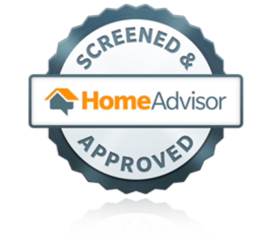Taz Stump Grinding - Home Advisor