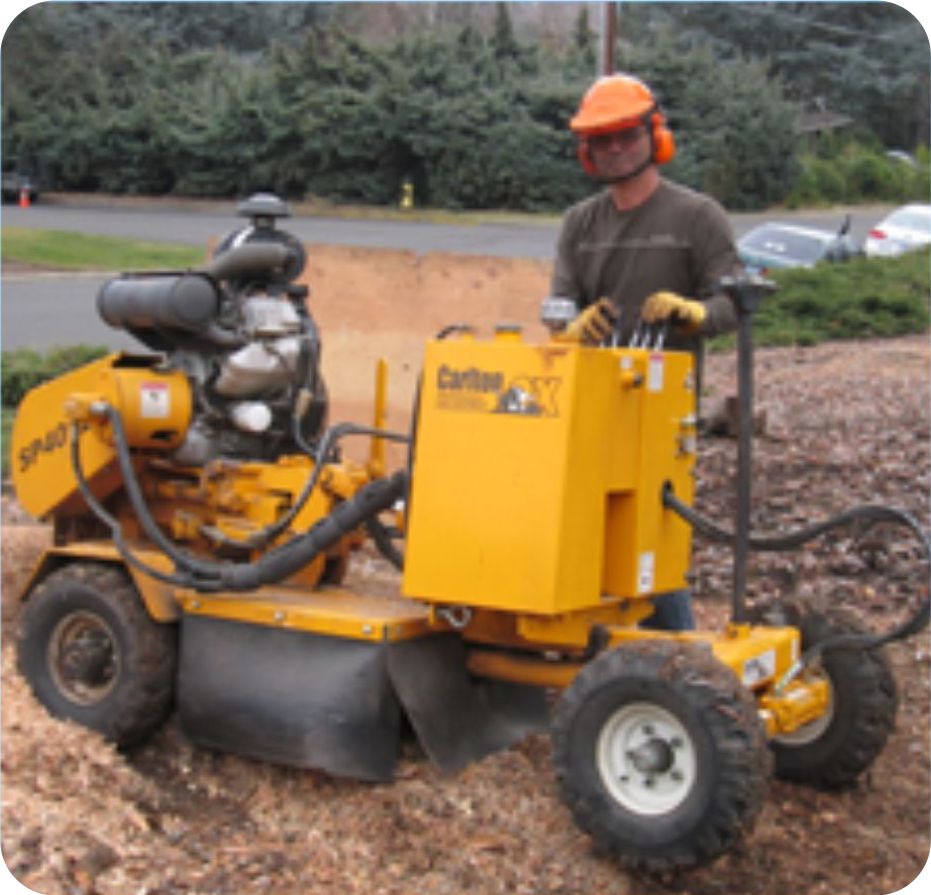 theme-image2 Stump Grinder 2