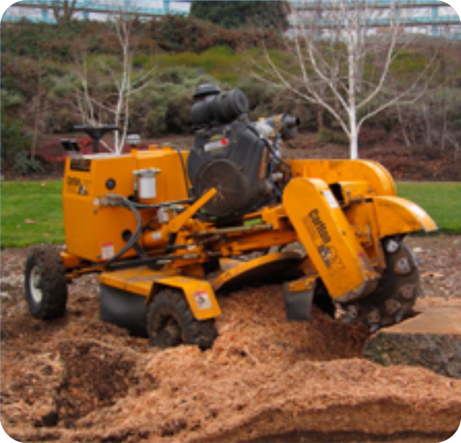 theme-image3 Stump Grinder 3